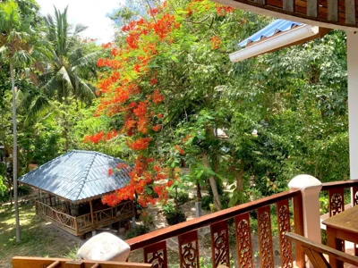 Koh Tao Tropicana Resort – Photos 16